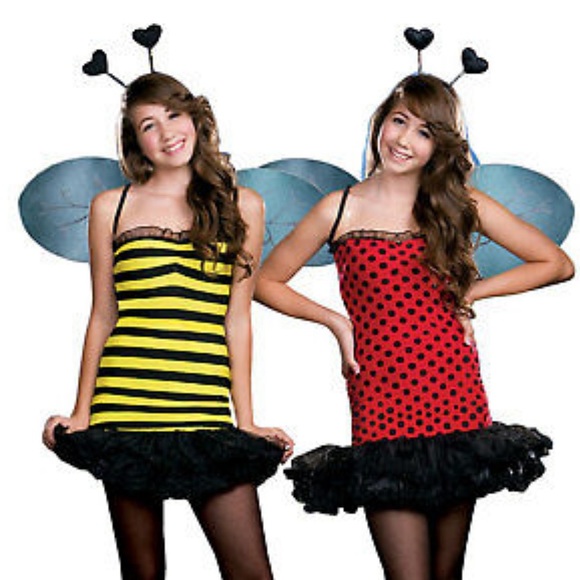 2 for $10 Reversible Ladybug 🐞 & Bee 🐝 Costume - Picture 3 of 7